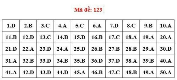 Cập nhật đề thi, giải đề môn Toán tốt nghiệp THPT ảnh 7
