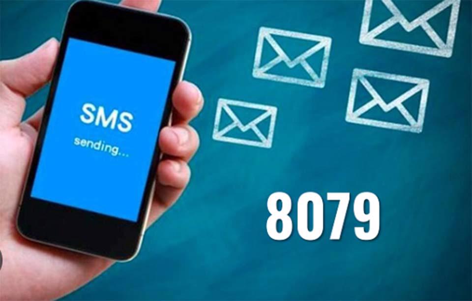 BHXH Việt Nam dừng triển khai tin nhắn tra cứu đến đầu số 8079 - ảnh 1