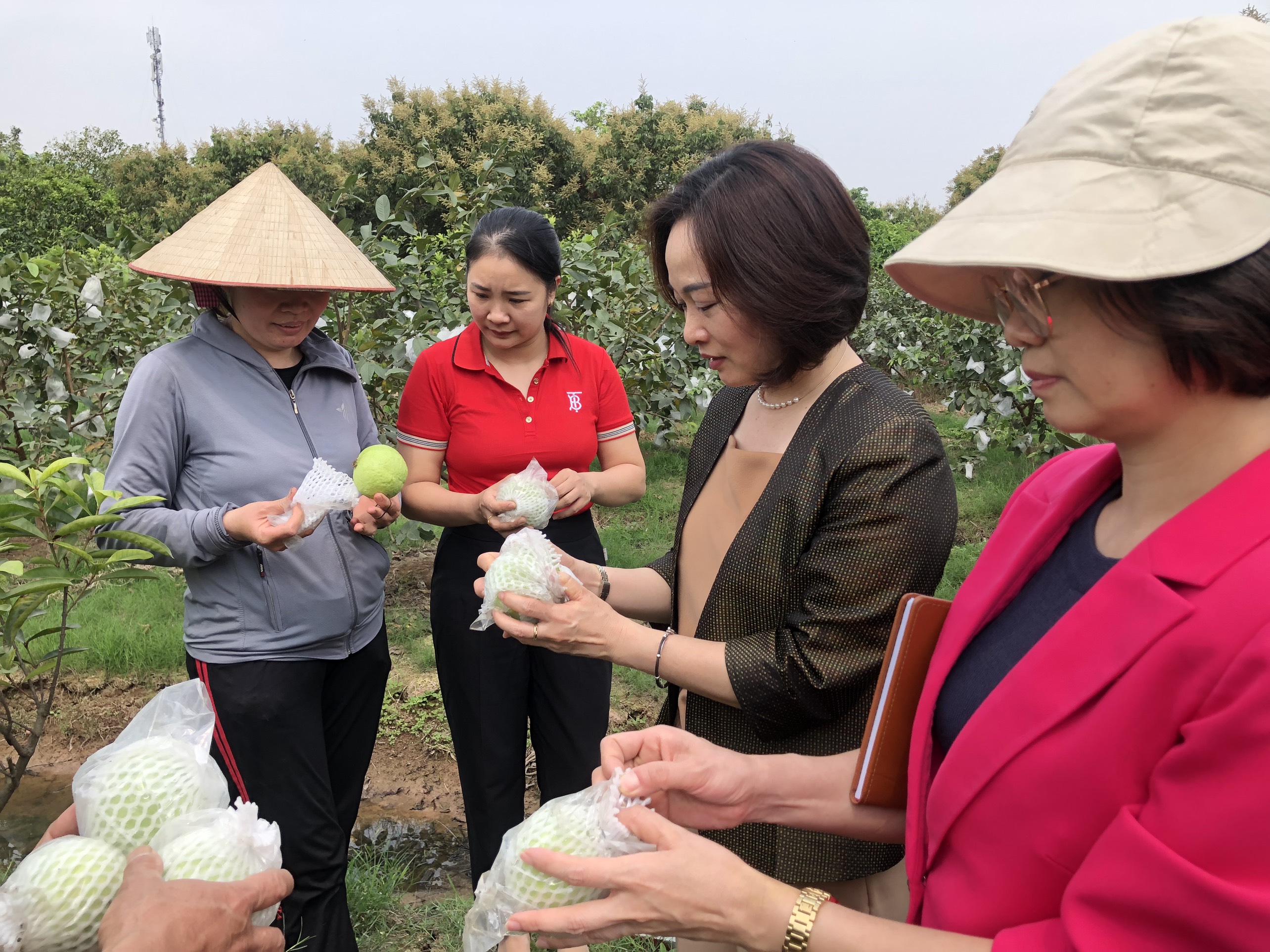 Kiểm tra hoạt động ủy thác vay vốn tại Hội LHPN xã Đông La, huyện Hoài Đức - ảnh 5