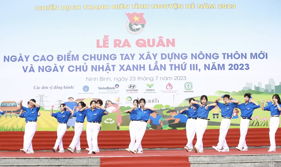 Thu hút đông đảo thanh niên góp phần xây dựng nông thôn mới - ảnh 2