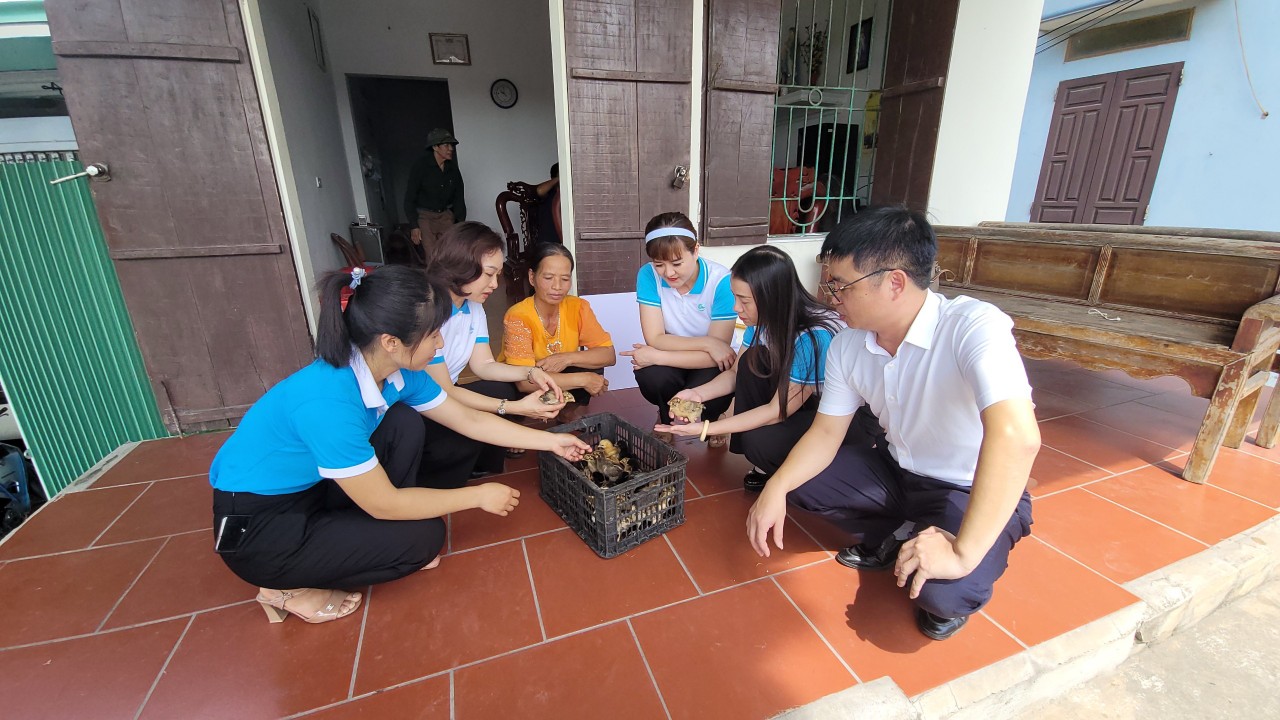 Trao tặng mô hình sinh kế cho phụ nữ công giáo có hoàn cảnh khó khăn - ảnh 2