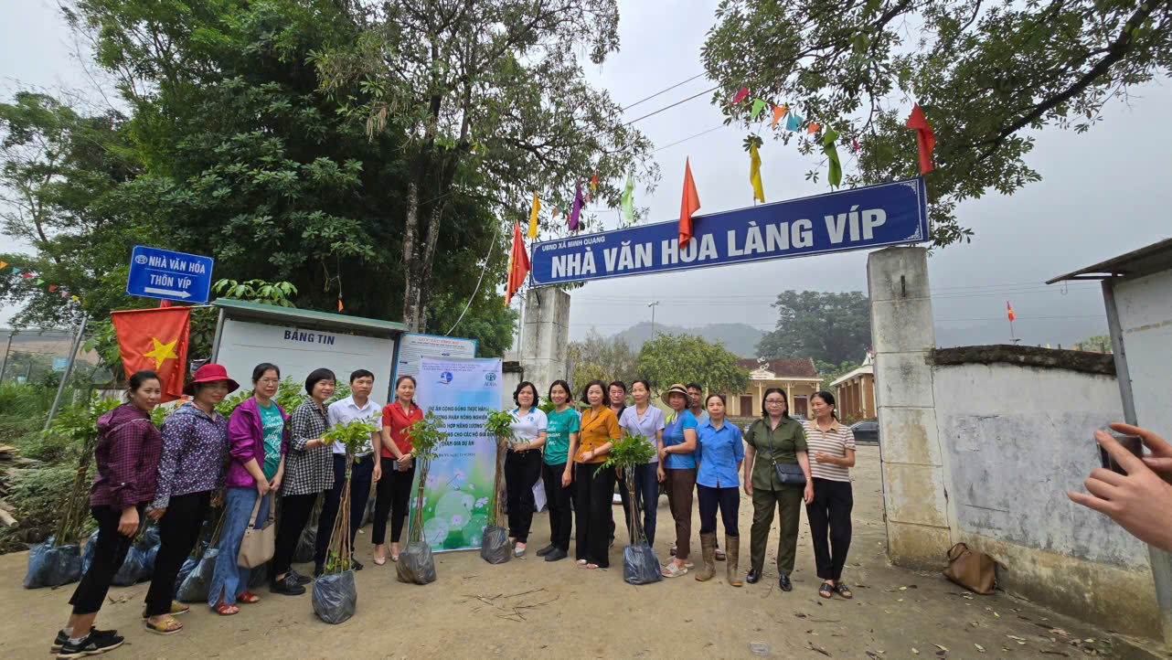 Góp phần tạo sinh kế bền vững, bảo vệ hệ sinh thái rừng tại Ba Vì - ảnh 4
