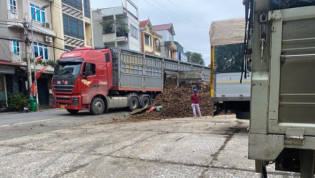 Làng nghề xã Dương Hòa ô nhiễm môi trường nghiêm trọng - ảnh 1