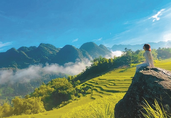 CÂY SỐNG ĐỜI - ảnh 3