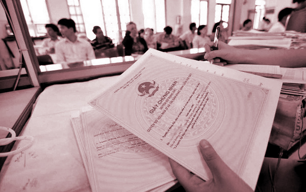 Người chưa thành niên có được đứng tên trên Giấy chứng nhận quyền sử dụng đất? - ảnh 1