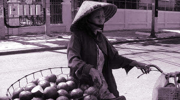 Bà cụ bán cam - ảnh 1