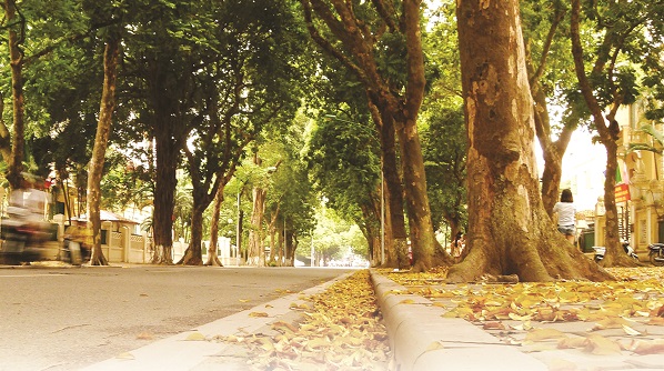 Gõ cửa ngày sang thu - ảnh 2
