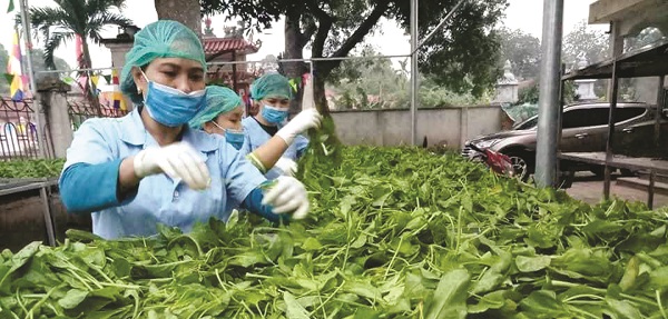 Thúc đẩy phụ nữ phát triển kinh tế, sáng tạo khởi nghiệp - ảnh 2