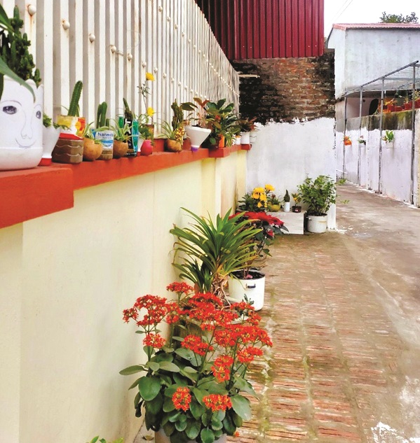 Những bàn tay hoa - ảnh 3