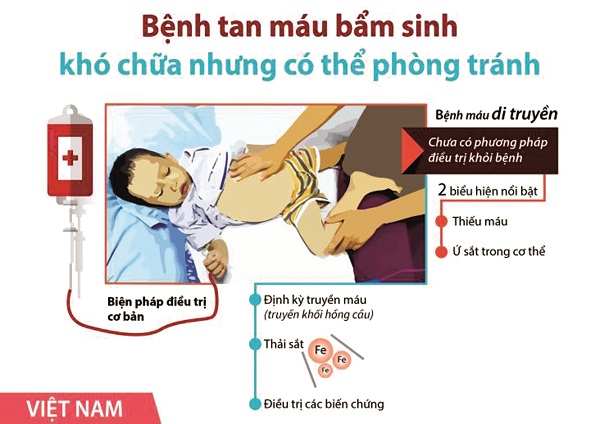 Chung tay đẩy lùi bệnh tan máu bẩm sinh vì tương lai giống nòi - ảnh 1