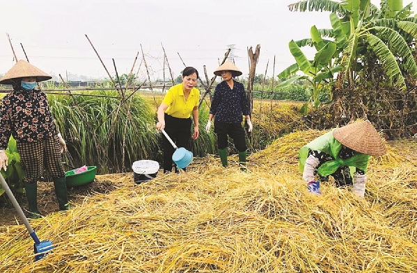 Chung sức xây dựng nông thôn mới - ảnh 2