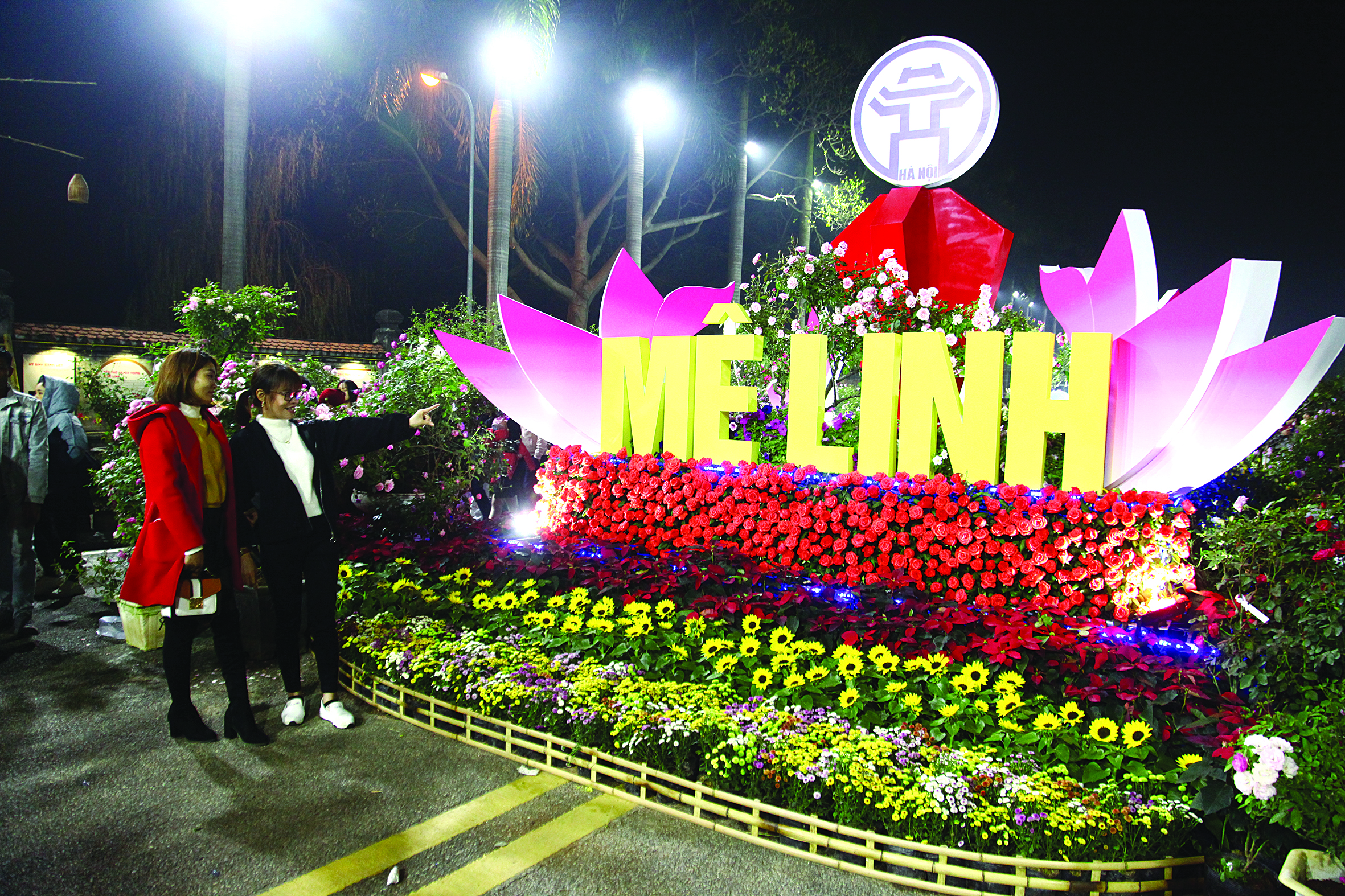 Những làng hoa ven đô - điểm đến mới của nhiều du khách - ảnh 3