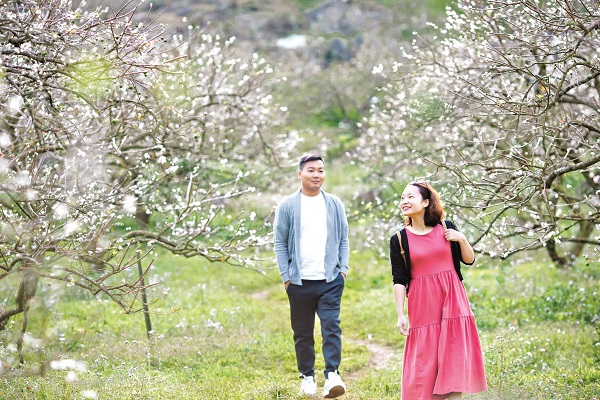 “Nhà” là nơi để trở về - ảnh 1