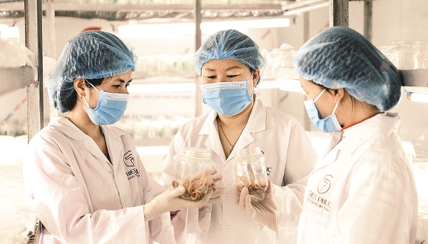 Nữ giám đốc đem tài sản “bảo lãnh”chất lượng đông trùng hạ thảo - ảnh 3