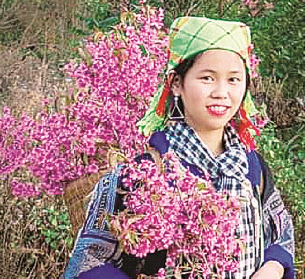 Tiềm năng nguồn nhân lực cho vùng đồng bào dân tộc thiểu số và miền núi - ảnh 1