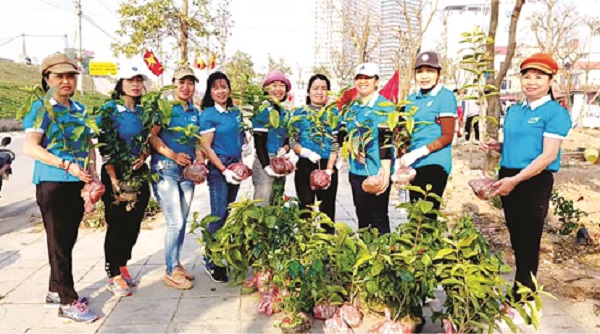 Lan tỏa phong trào “Tết trồng cây nhớ ơn Bác Hồ” - ảnh 2