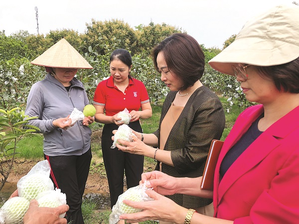 Hội Phụ nữ - cầu nối uy tín đưa đồng vốn đến với người cần - ảnh 2