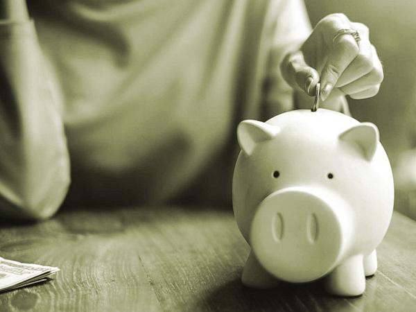 Chuyện con lợn đất - ảnh 2