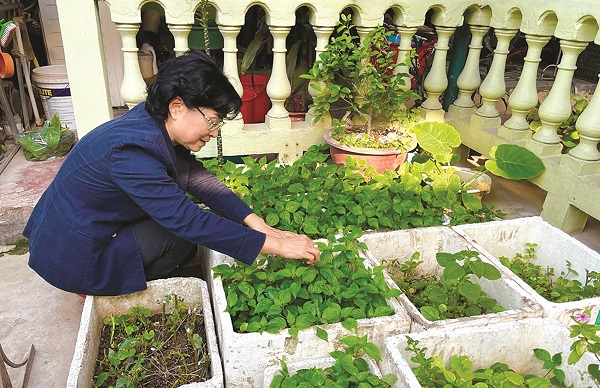 Phụ nữ Thủ đô lan tỏa lối “sống xanh” - ảnh 1