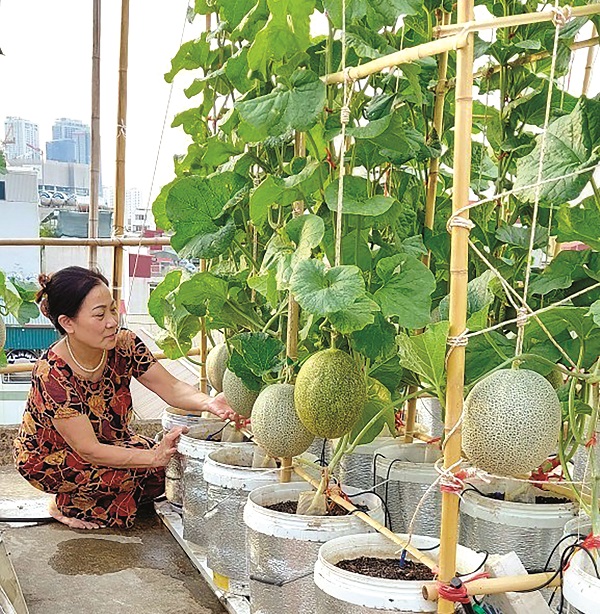 Phụ nữ Thủ đô lan tỏa lối “sống xanh” - ảnh 2