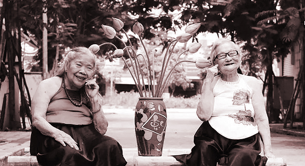 Hai bà tôi sống cùng một nhà - ảnh 1