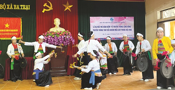 Phát huy vai trò của tổ chức Hội trong công tác phụ nữ và bình đẳng giới - ảnh 2
