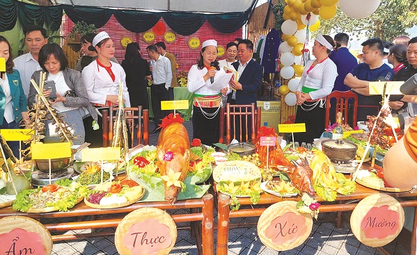 Phát huy vai trò của tổ chức Hội trong công tác phụ nữ và bình đẳng giới - ảnh 3
