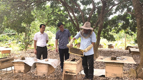 Lòng Hồ - điểm đến hấp dẫn của người Hà Nội - ảnh 1