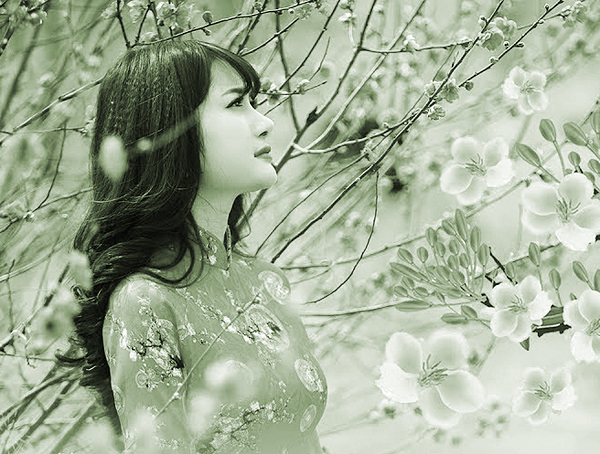 Nước mắt của mẹ - ảnh 2