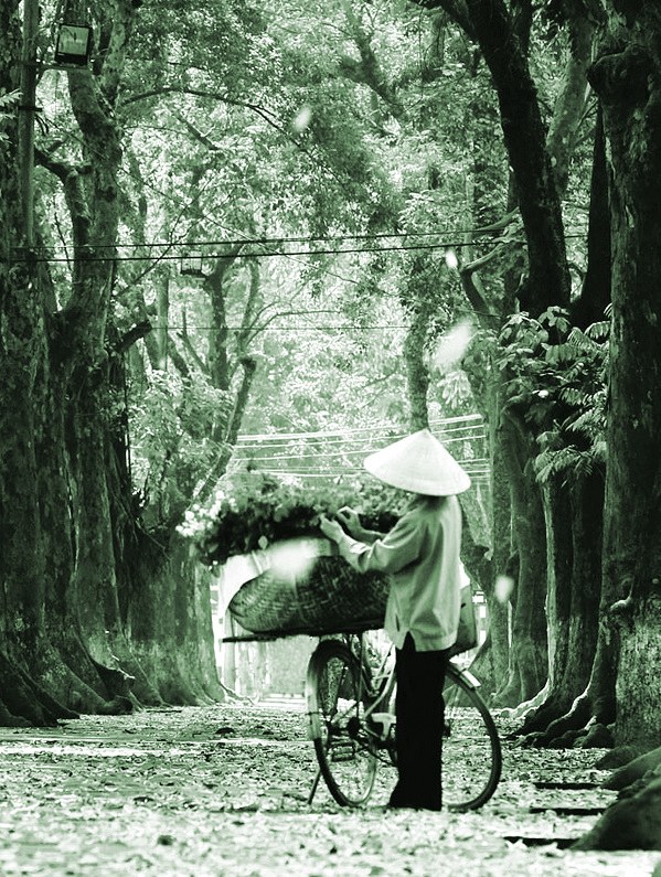 Cốm Thu - ảnh 1