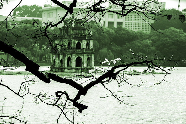 Thu về - ảnh 1