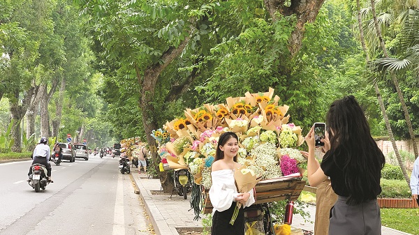 Những đường phố lãng mạn nhất Thủ đô vào mùa thu - ảnh 1