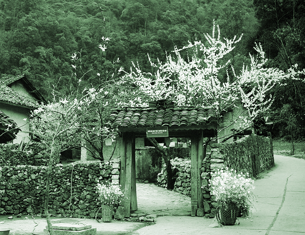 Thời gian - ảnh 1