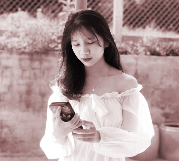 Hôn nhân “chay” - ảnh 2