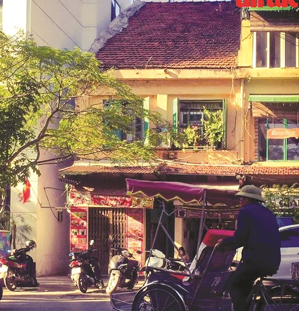 Con đường tuổi xuân - ảnh 1