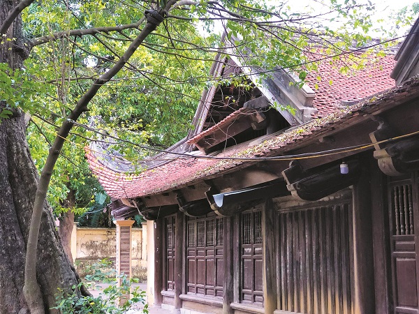 Nét đẹp ở “làng tiến sĩ” - ảnh 1