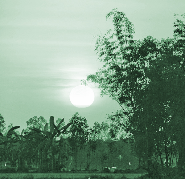 Hương chiều - ảnh 1