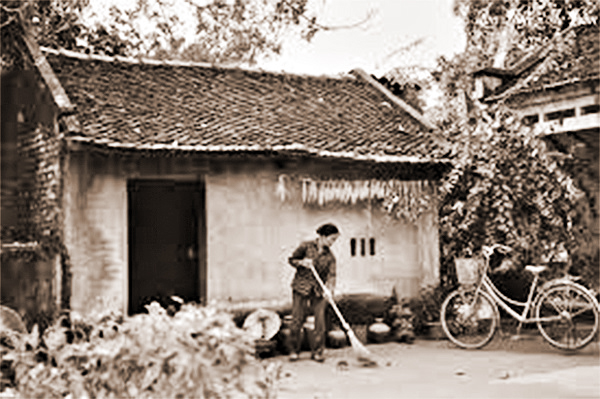 Tạ lỗi với mẹ - ảnh 1