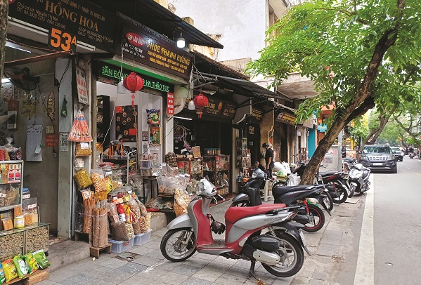 Giữ nghề thuốc Nam ở phố Lãn Ông - ảnh 1