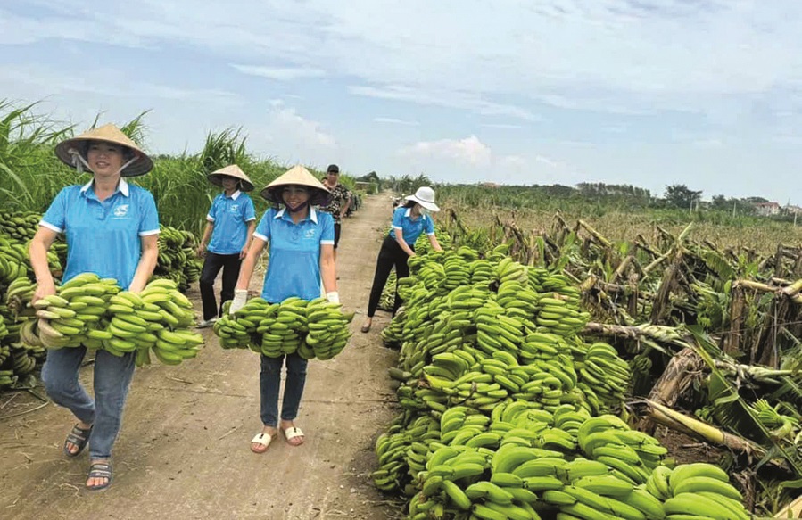 Nhân lên yêu thương trong những ngày bão lũ - ảnh 3