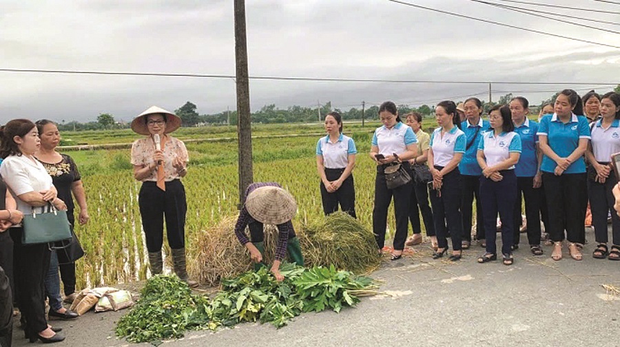 Phụ nữ Thủ đô xây dựng nông thôn mới, đô thị văn minh - ảnh 3
