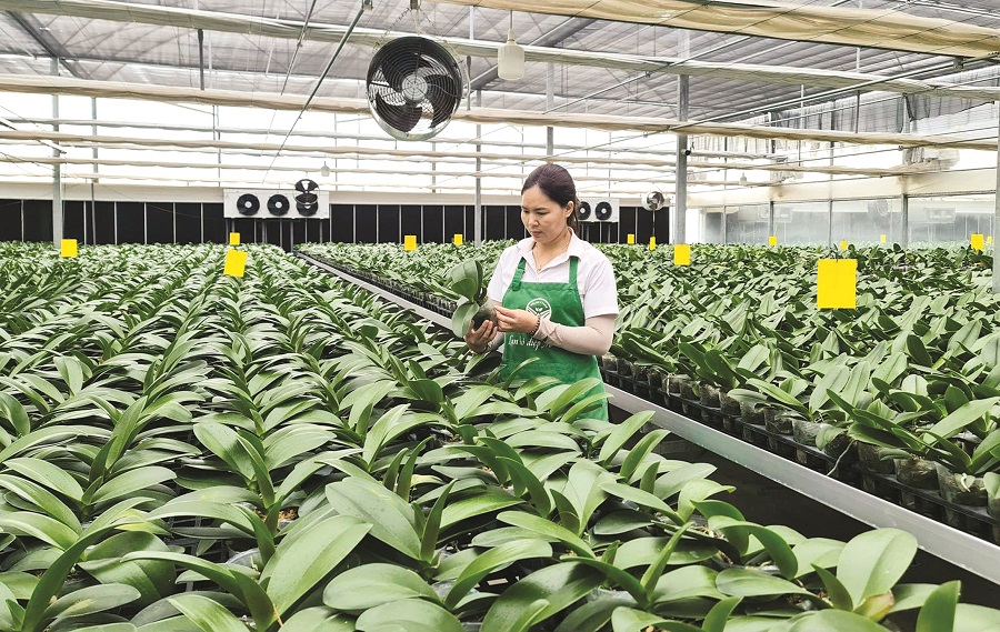 “Số hóa” bắt đầu từ những điều giản dị - ảnh 1