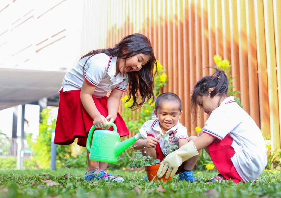 Những công dân Thủ đô biết yêu cái đẹp - ảnh 2