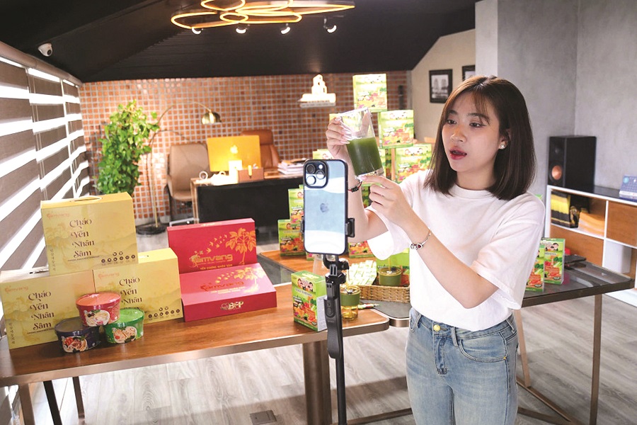 Nguy cơ từ khởi nghiệp online - ảnh 1