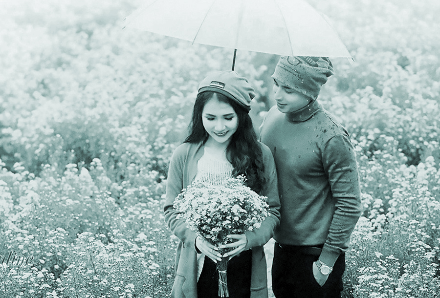 Hỏi mình trước lúc buông tay - ảnh 2