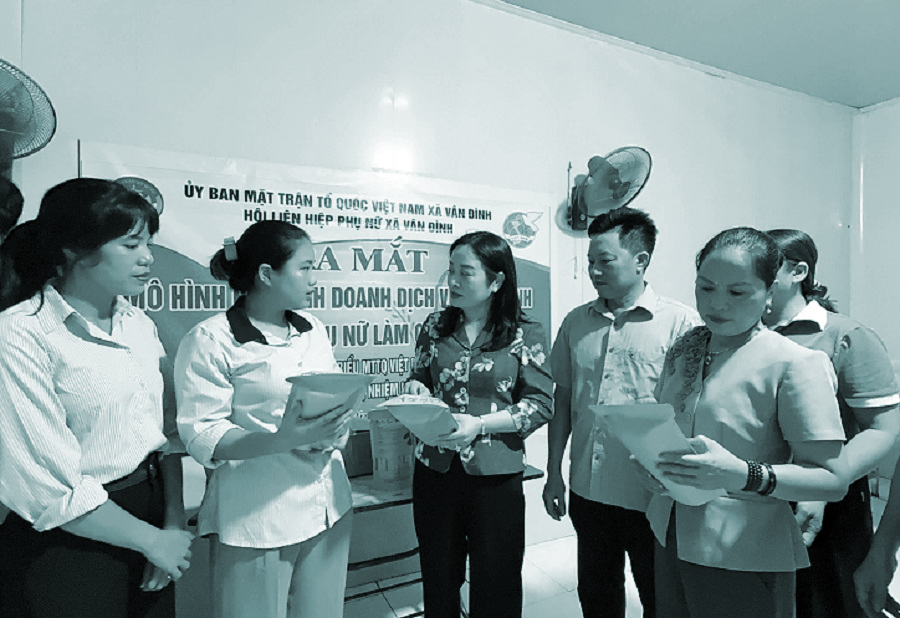 Khởi nghiệp từ lá sen  - ảnh 1