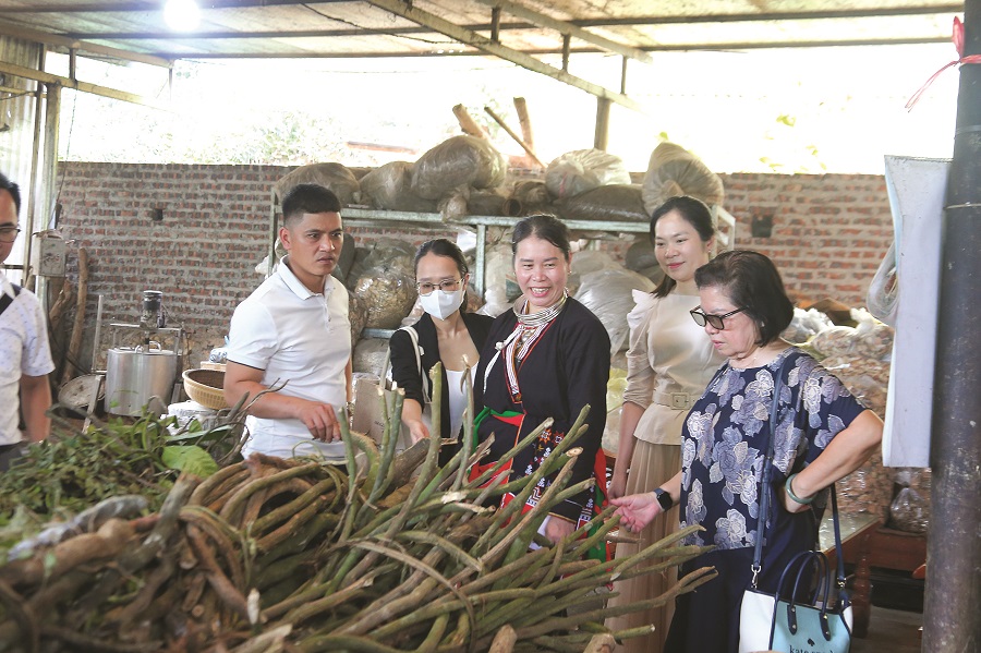 Phát triển và bảo tồn bản sắc ở vùng đồng bào dân tộc thiểu số - ảnh 1