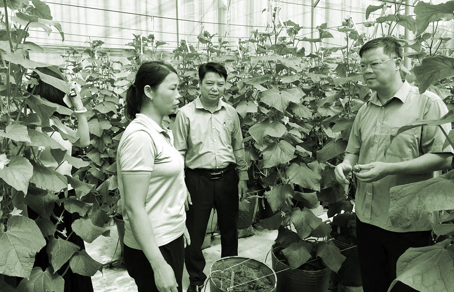 “Dám nghĩ, dám làm” tạo đột phá cho Hà Nội - ảnh 2