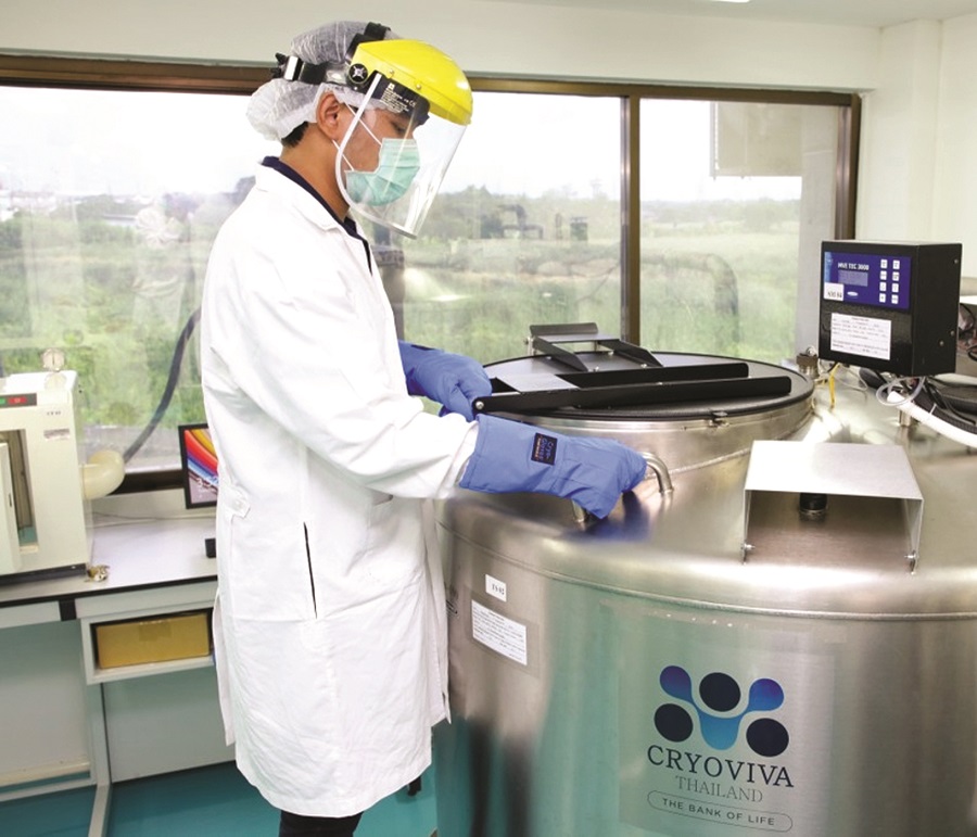 Lưu trữ tế bào gốc - ảnh 1