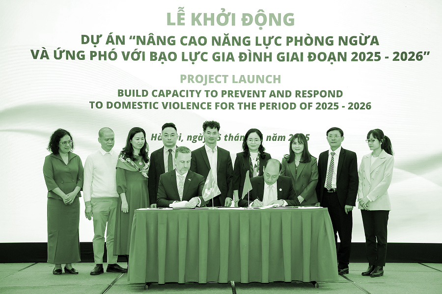 Bạo lực gia đình còn nhiều phức tạp - ảnh 1